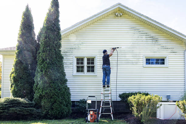 Best Driveway Pressure Washing  in Carteret, NJ